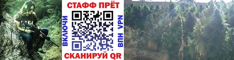 Продажа наркотиков Нея Кокаин  Псилоцибиновые грибы  А ПВП  Бошки Шишки  Меф 