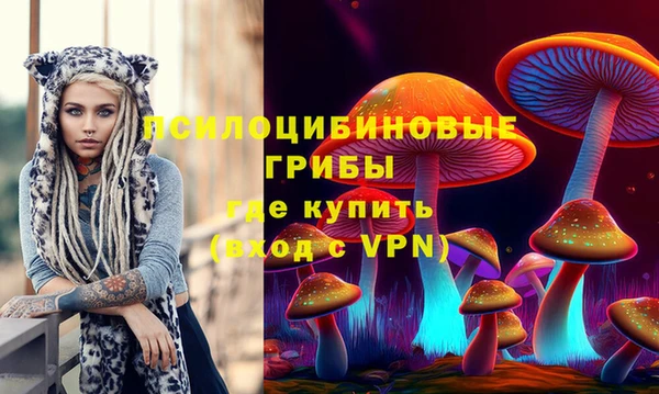 прущие грибы Алексеевка