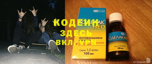 дмт Алексин
