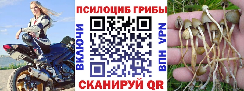 Галлюциногенные грибы MAGIC MUSHROOMS  Нея 